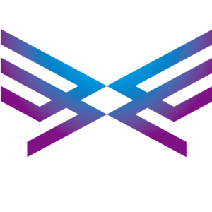 Experience inc.